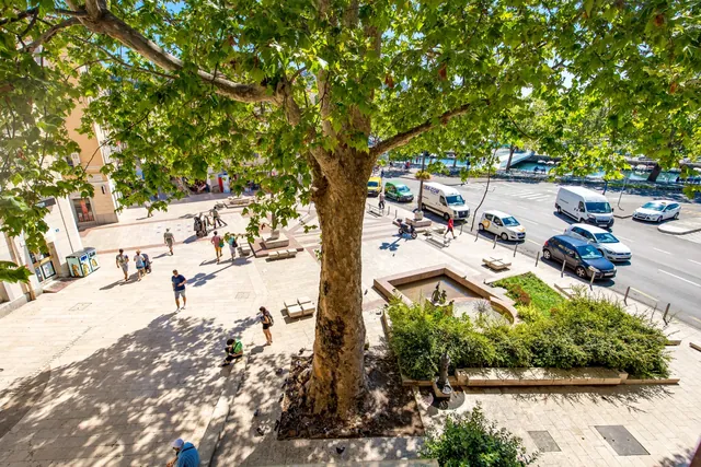 Blick aus Studio 2 auf den Platz und die Bäume
